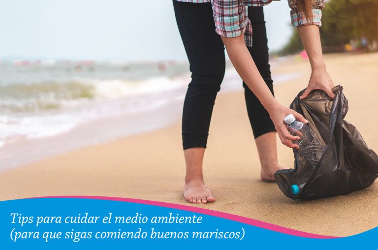 Tips para cuidar el medio ambiente (para que sigas comiendo buenos mariscos)