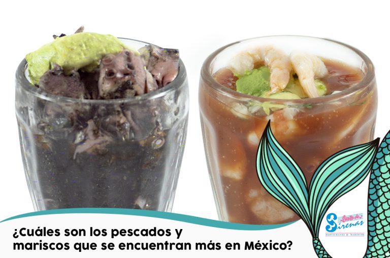 los pescados y mariscos que podemos encontrar más en las costas mexicanas
