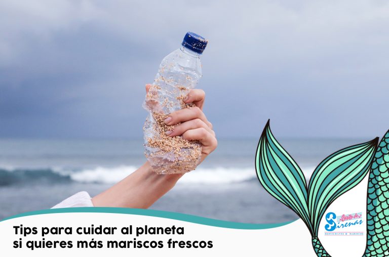 Si quieres mariscos frescos durante muchos años más, es importante que hagamos algunos cambios en la manera en que vivimos nuestro día a día.