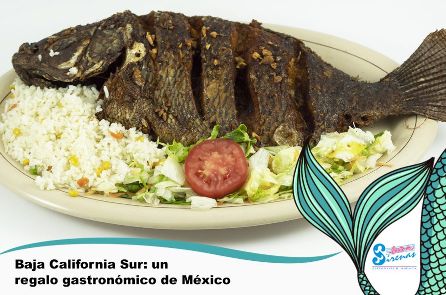 Gastronomía de Baja California Sur en pescados y mariscos