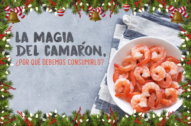 Canto de Sirenas - camarones al mojo de ajo