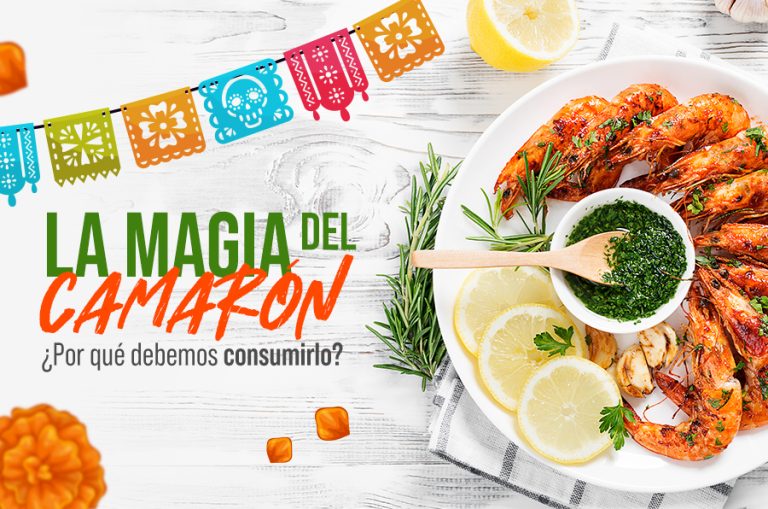 La magia del camarón, ¿por qué debemos consumirlo?