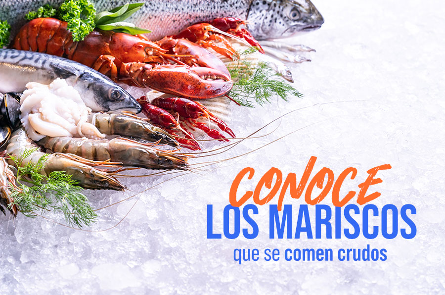 Conoce los mariscos que se comen crudos