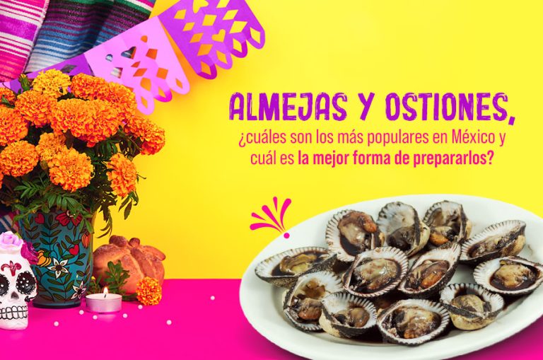 Almejas y ostiones, ¿cuáles son los más populares en México y cuál es la mejor forma de prepararlos?
