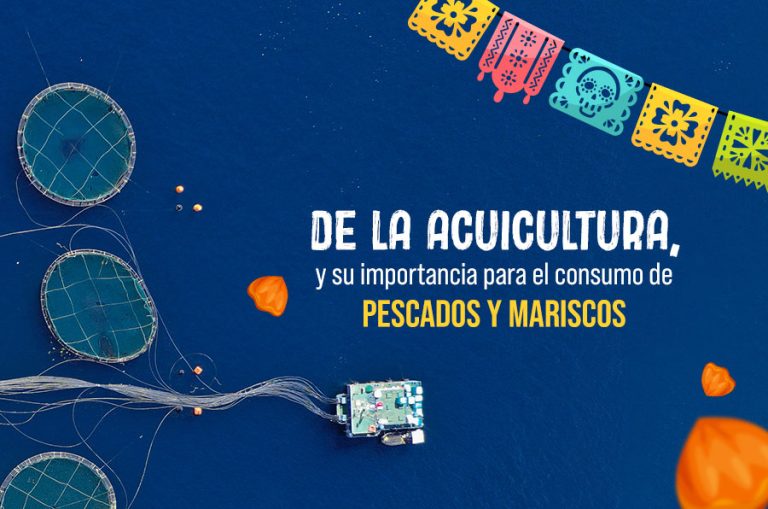 De la Acuicultura y su importancia para el consumo de pescados y mariscos