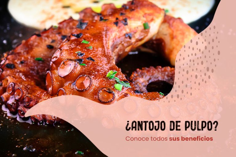 ¿Antojo de pulpo? Conoce todos sus beneficios