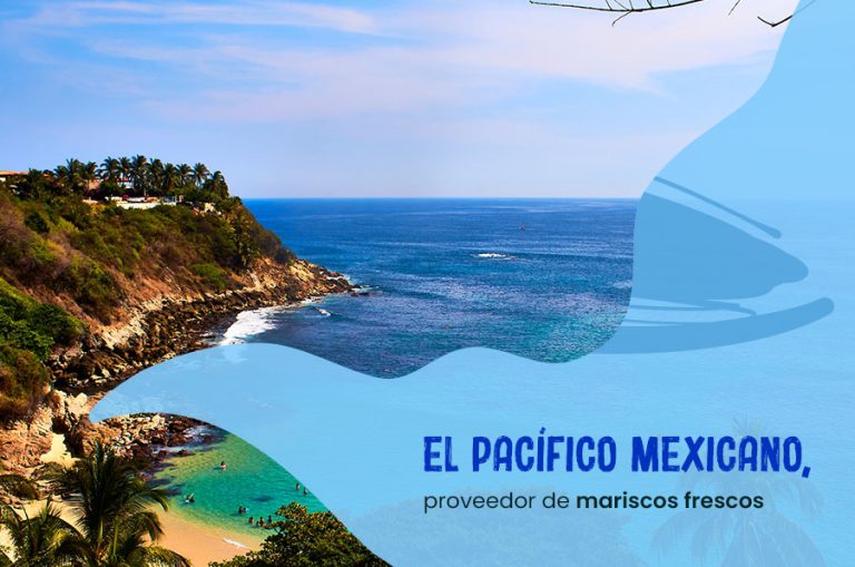 El Pacífico Mexicano, proveedor de mariscos frescos