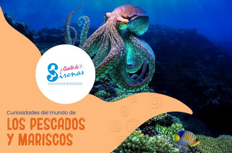 Curiosidades del mundo de los pescados y mariscos