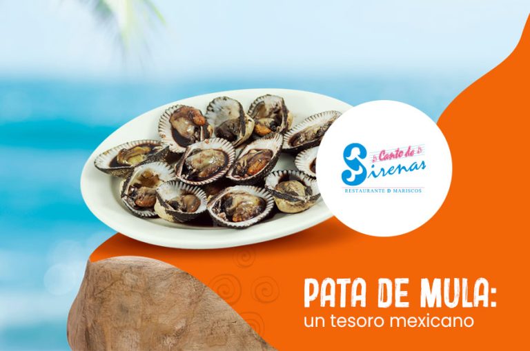 Pata de mula: un tesoro mexicano