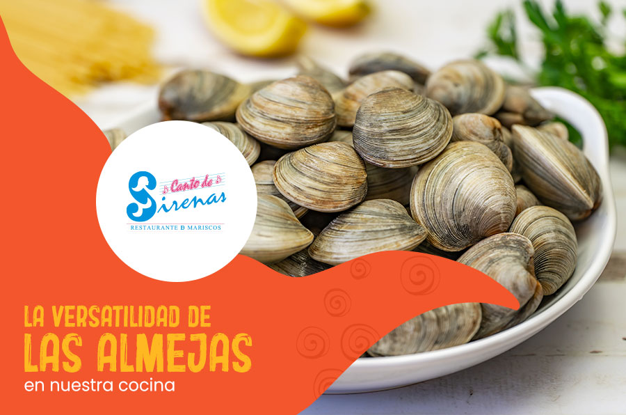 La versatilidad de las almejas en nuestra cocina