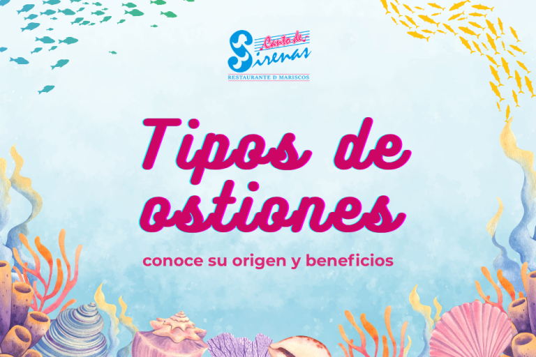 Tipos de ostiones: conoce su origen y beneficios