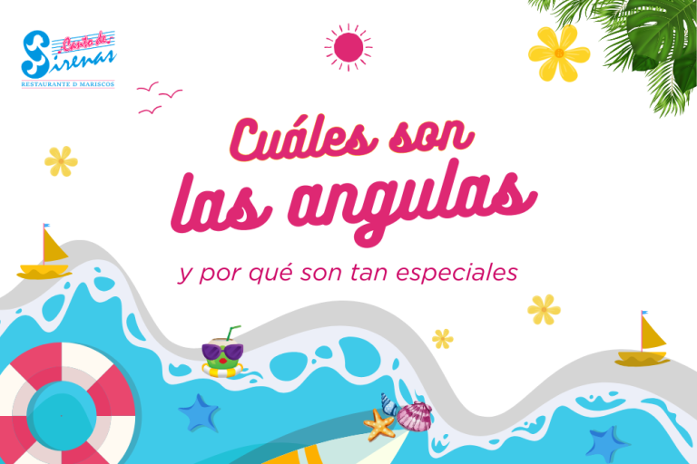 Cuáles son las angulas: qué son y por qué son tan especiales